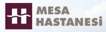 sponsor_mesahast