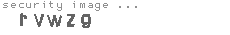 security image