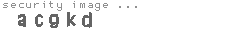 security image