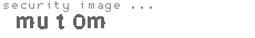 security image