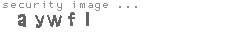 security image
