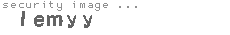 security image