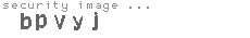 security image