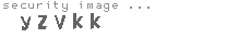 security image