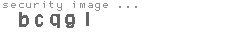 security image