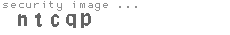 security image