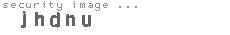 security image
