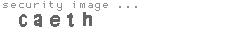 security image
