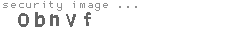 security image