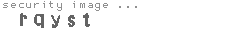 security image