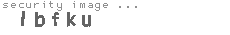 security image