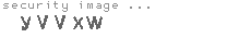 security image