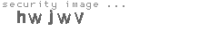 security image