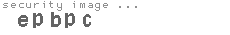 security image
