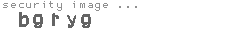 security image