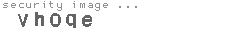 security image