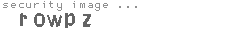 security image
