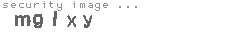 security image