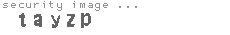 security image