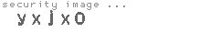 security image