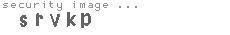 security image