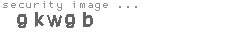 security image