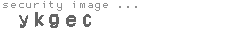 security image