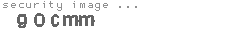 security image