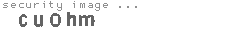 security image