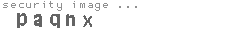 security image