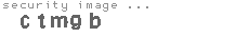 security image