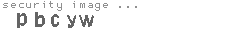 security image
