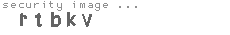 security image