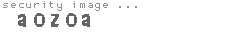 security image
