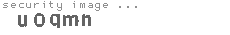 security image