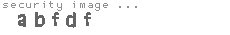 security image