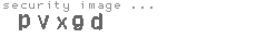 security image