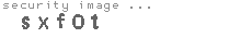 security image
