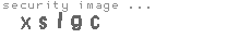 security image