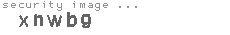 security image