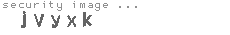 security image