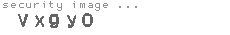 security image