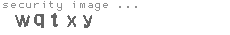 security image