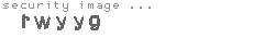 security image