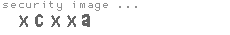 security image