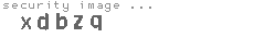 security image