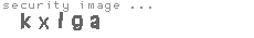 security image