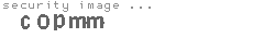 security image