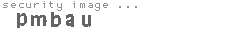 security image